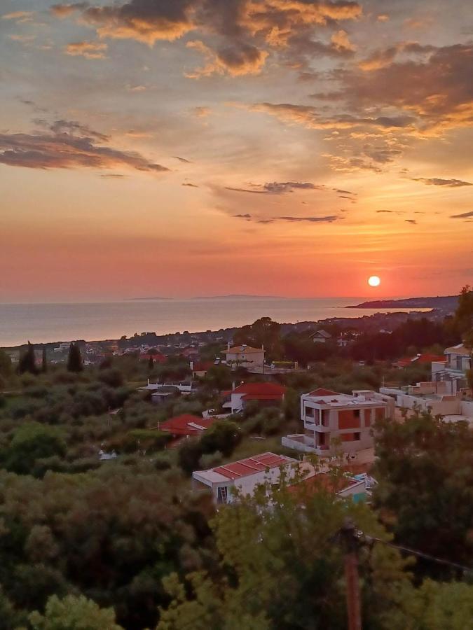 Il Tramonto Apartments 2 Kanali  Eksteriør billede